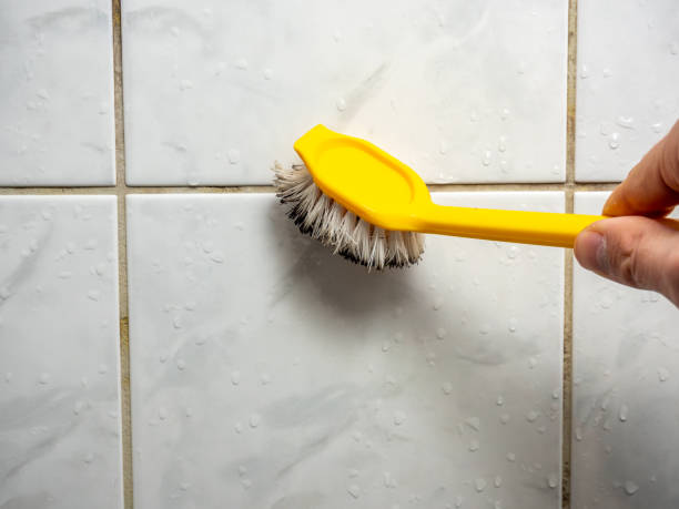 Best Mold Removal Company Near Me  in Avila Beach, CA
