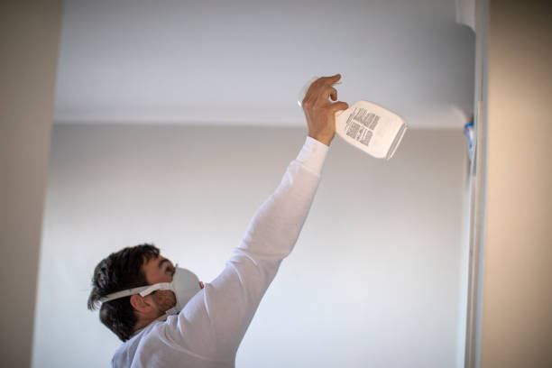 Mold Testing and Removal in Avila Beach, CA