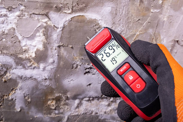 Certified Mold Removal in Avila Beach, CA