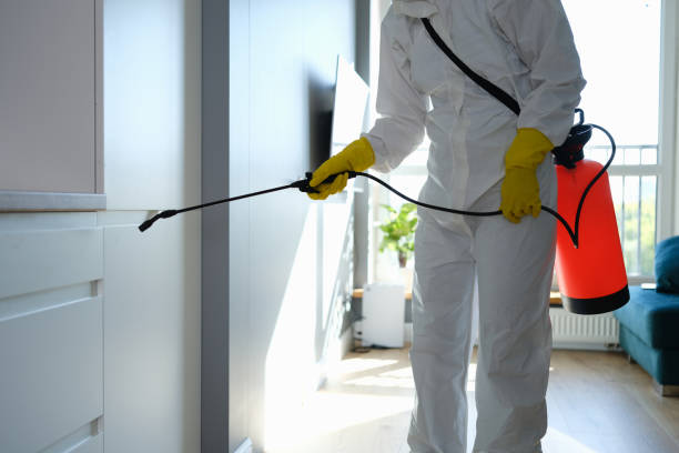 Best Commercial Mold Removal  in Avila Beach, CA